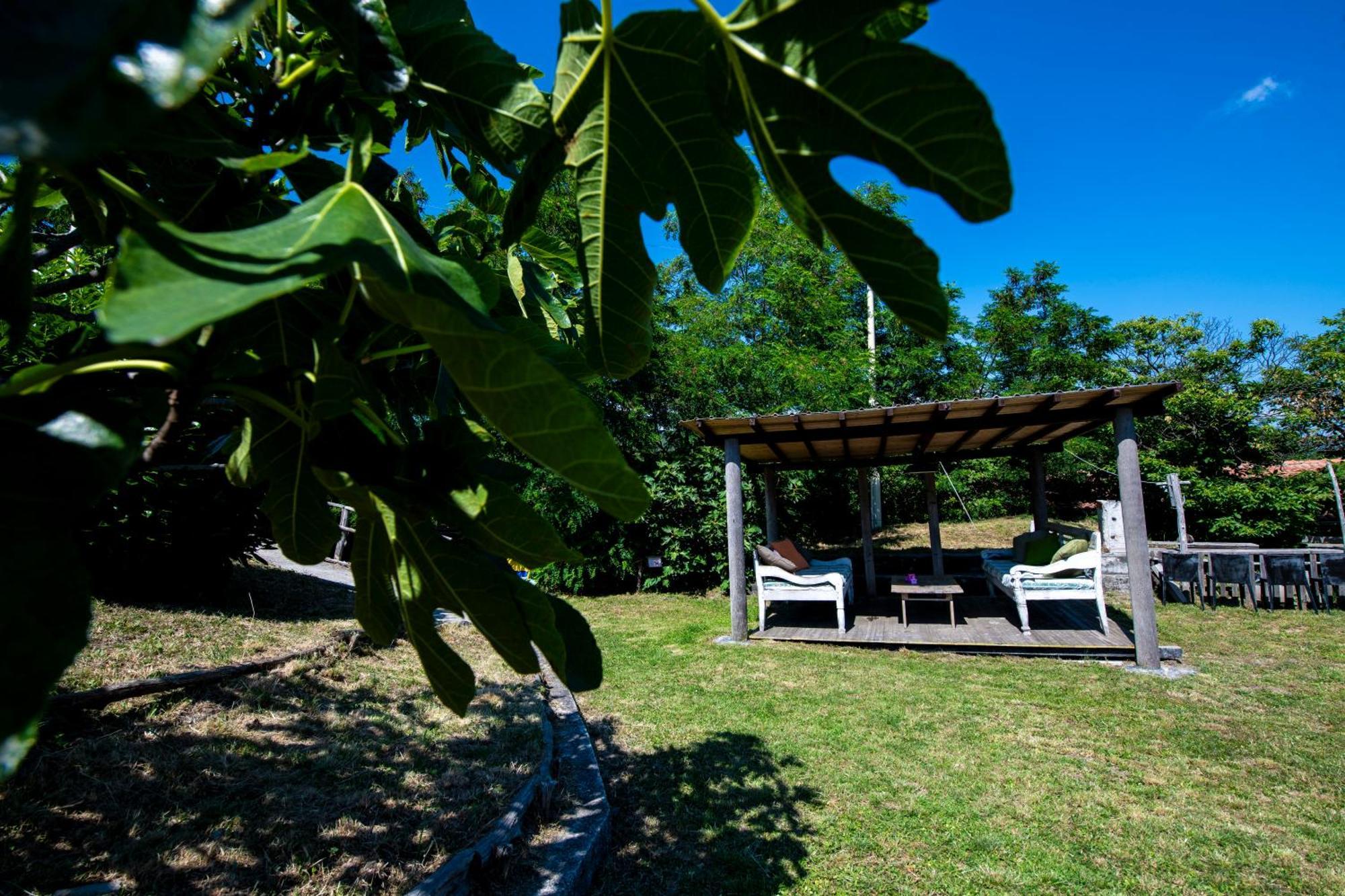 211 - Appartamento Acacia, Terrazza Giardino E Piscina Carro Екстериор снимка